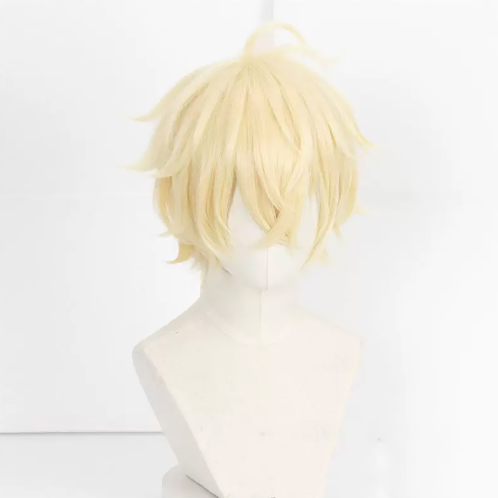 HAIRJOY 人工毛 セラフ・オブ・ザ・エンド 百夜ミカエ - Wig Fiber Net のレビューと価格