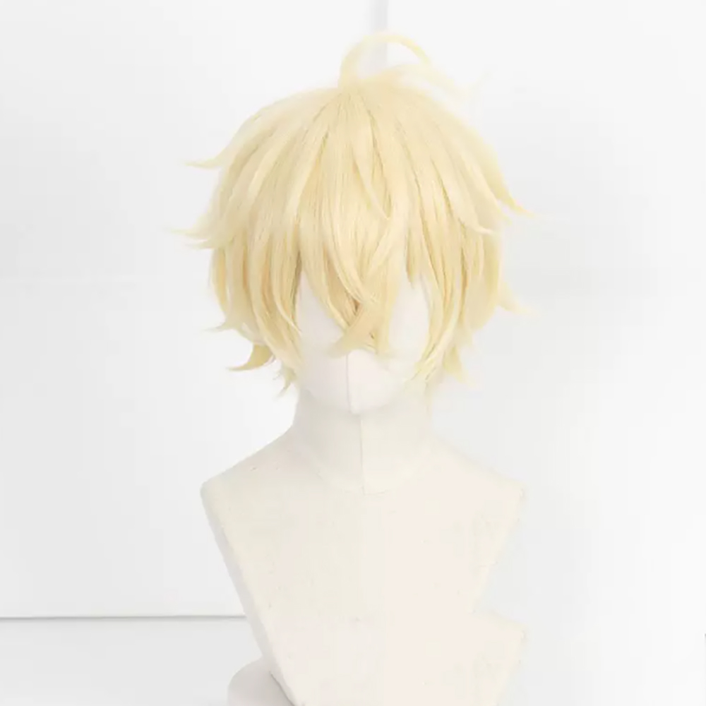 HAIRJOY 人工毛 セラフ・オブ・ザ・エンド 百夜ミカエ - Wig Fiber Net のレビューと価格