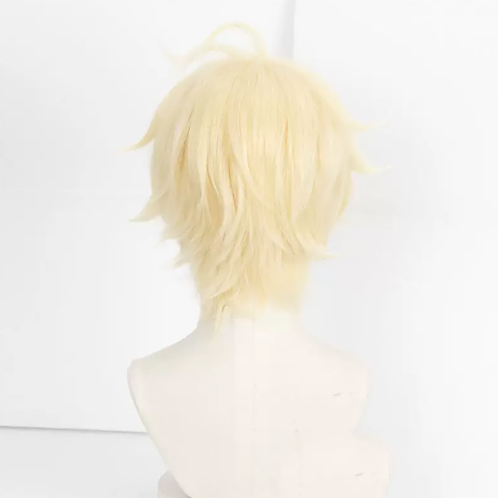 HAIRJOY 人工毛 セラフ・オブ・ザ・エンド 百夜ミカエ - Wig Fiber Net のレビューと価格