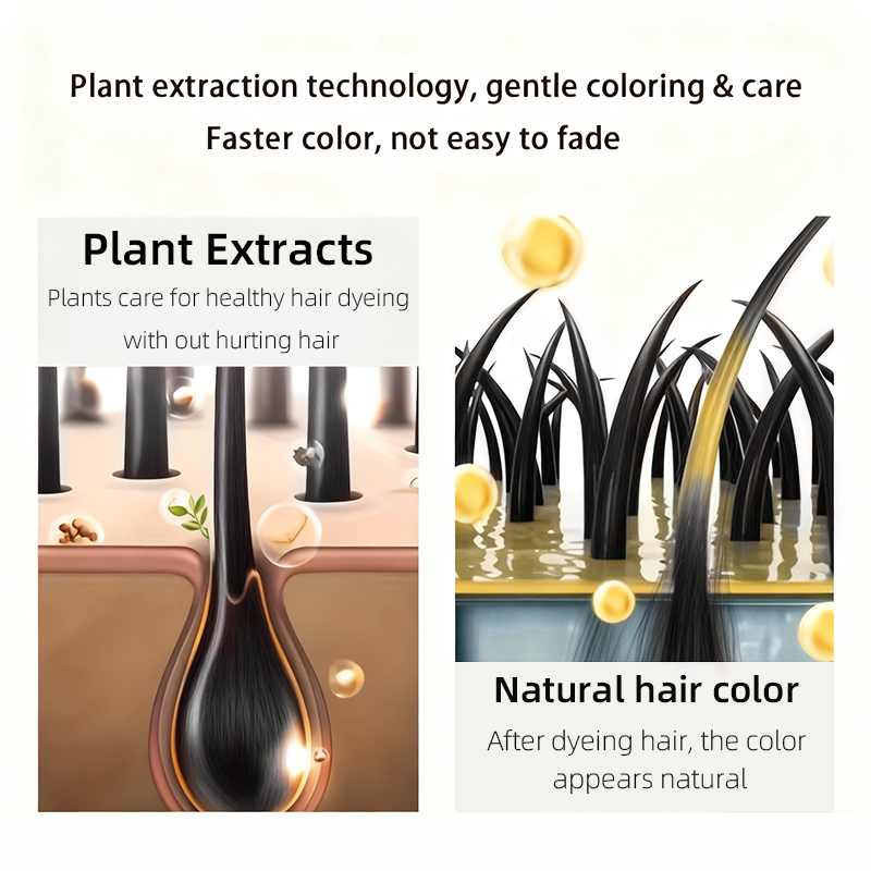 黒曜石ブラックヘアダイシャンプー 100ml - 4in1植 - Hair Spray Color のレビューと価格